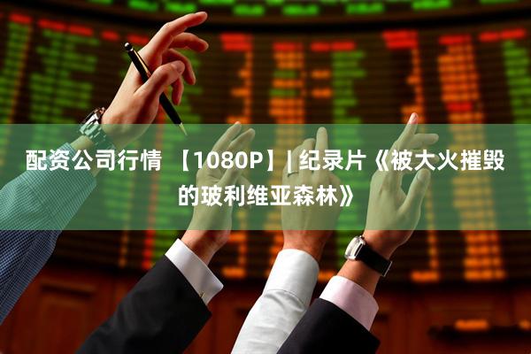 配资公司行情 【1080P】| 纪录片《被大火摧毁的玻利维亚森林》
