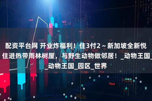 配资平台网 开业炸福利！住3付2～新加坡全新悦榕庄上线！住进热带雨林树屋，与野生动物做邻居！_动物王国_园区_世界
